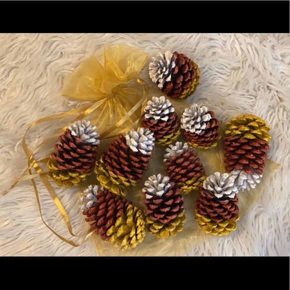 Set of 10 Magickal Pine Cones! Intuitively Naturally Chosen Hand Painted Pieces - Picture 2 of 3